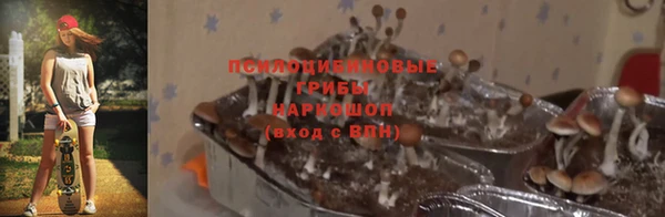 мяу мяу мука Горняк
