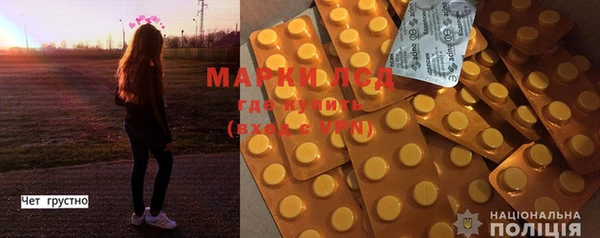 мяу мяу мука Горняк
