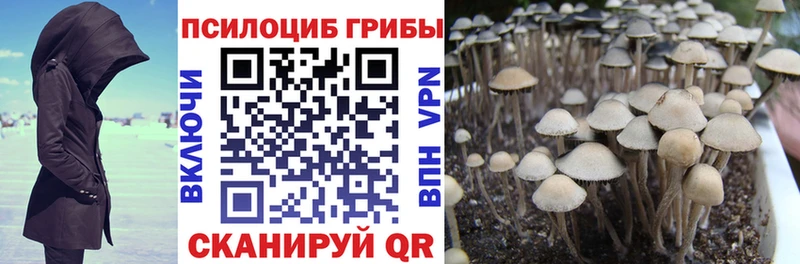 Галлюциногенные грибы мухоморы  Купить  Петровск-Забайкальский 